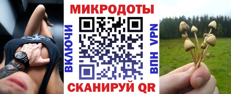 Псилоцибиновые грибы Cubensis  Барыш 